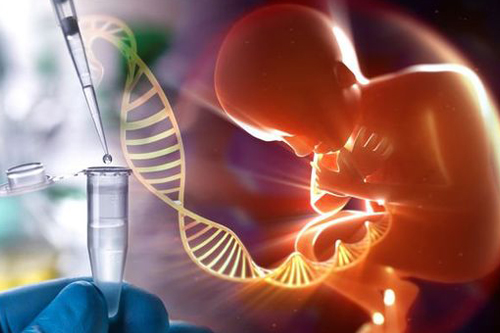 ژنتیک حین بارداری