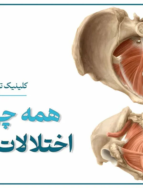 نمای آناتومی عضلات کف لگن و عملکرد آن‌ها در حمایت از اندام‌های لگنی